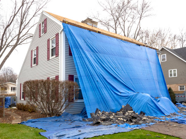 Best Stone Veneer Siding  in Spring Arbor, MI